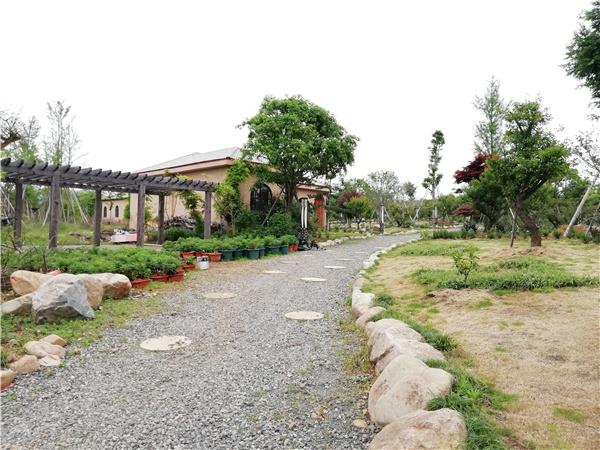 新昌花隐玫瑰园.jpg