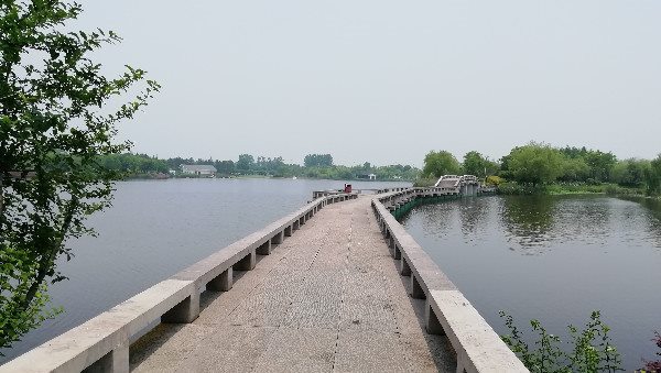 上虞海上花田团建拓展基地04.jpg