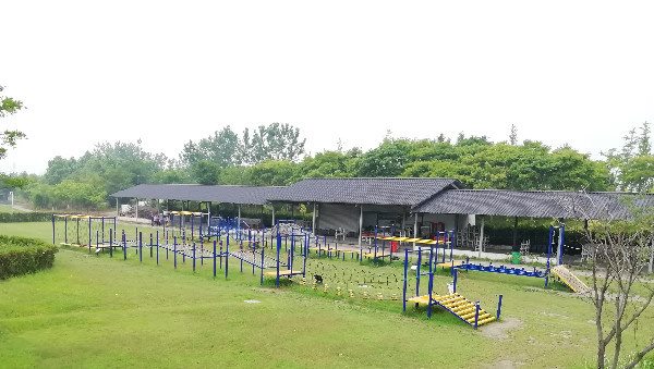 上虞海上花田团建拓展基地05.jpg