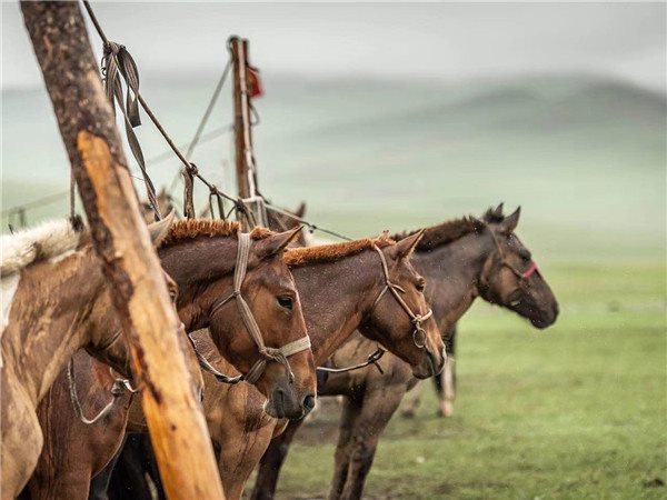 内蒙古骑马旅游07.jpg