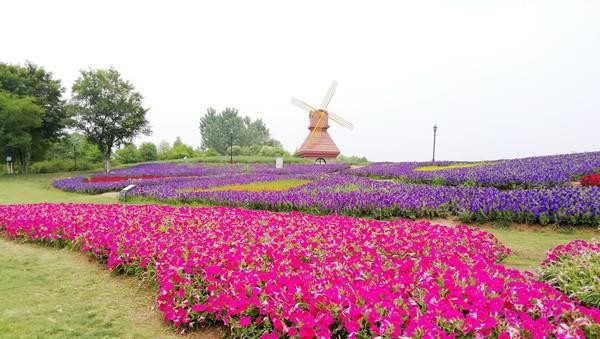 上虞海上花田团建拓展基地.jpg