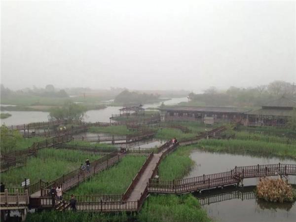杭州下渚湖湿地07.jpg