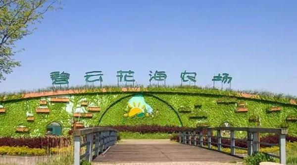 嘉善碧云花园拓展团建基地09.jpg